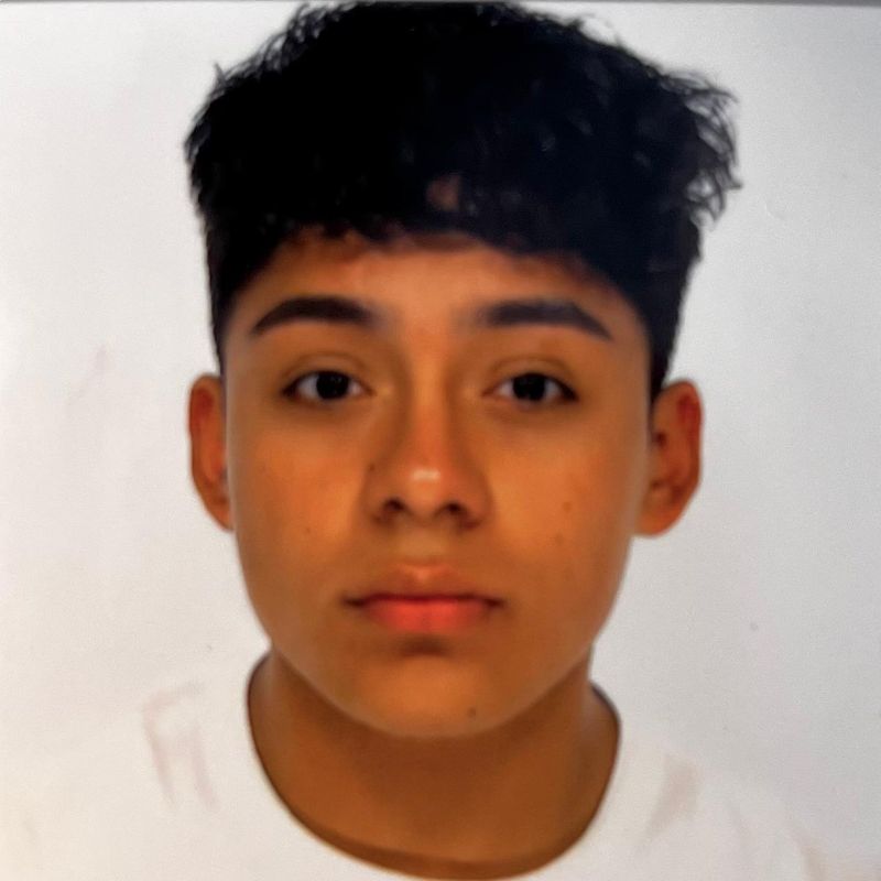 NICOLAS GAVILANES ALEGRIA