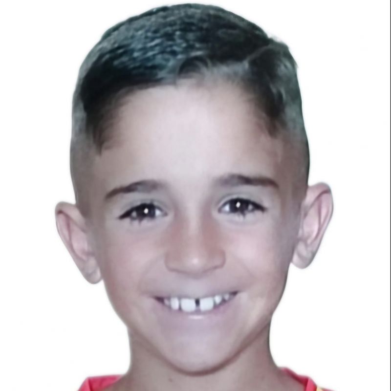 ISMAEL FORTES SANCHEZ