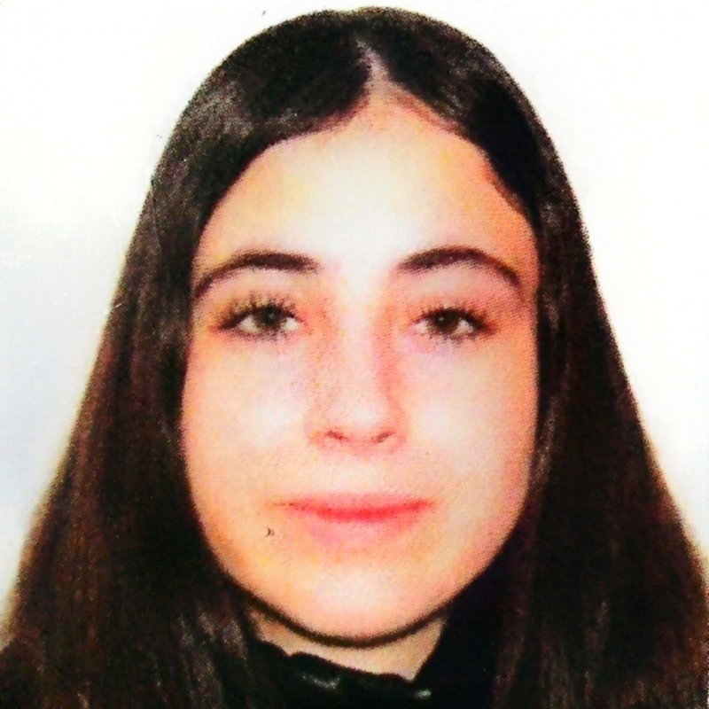 ANA VANESSA SIMON PITICARU