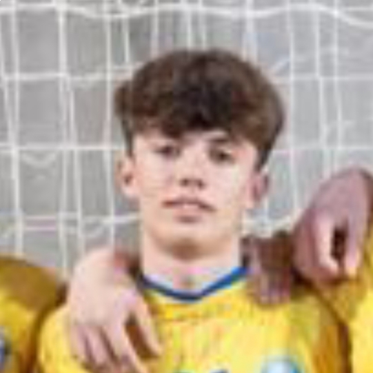 MIQUEL MESQUIDA VILANOVA