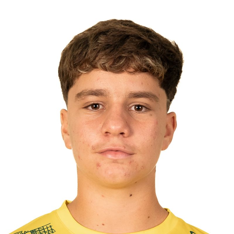 ALCIDES DAVID CABRERA HERNANDEZ