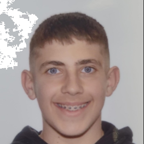 DANIEL PEREZ VASILIU