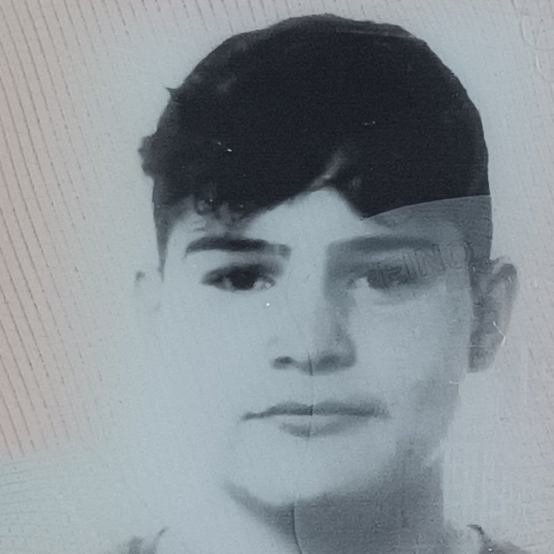 EMILIO ERNESTO FERNANDEZ HARMANT