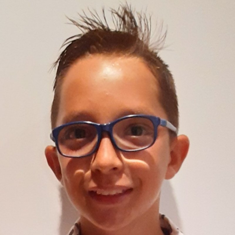 DAVID VERCHER GIRAU