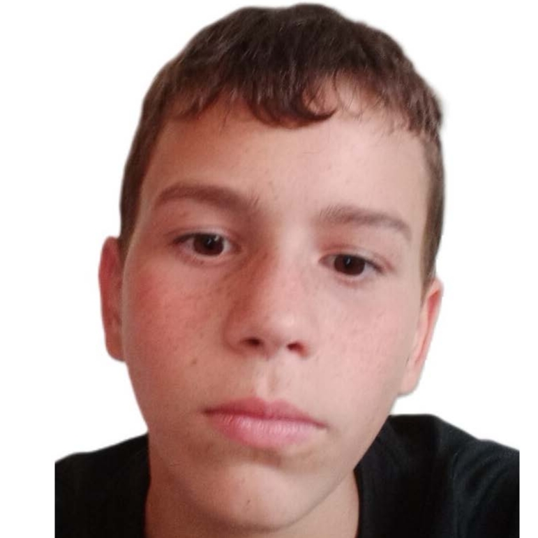 GUILLERMO  CHICA VEIGA