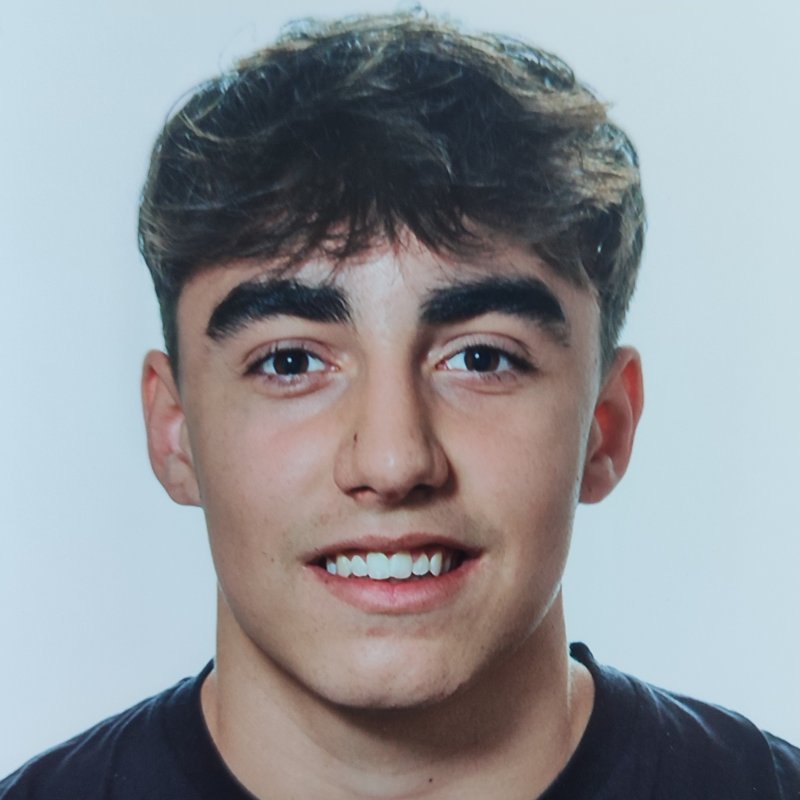 CARLOS ARGAIZ SAINZ