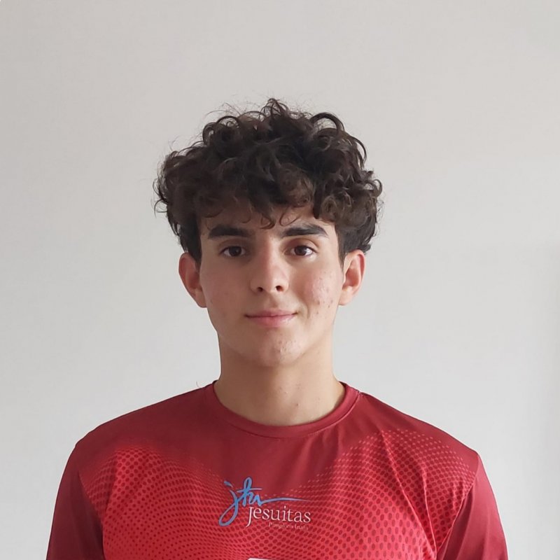 SANTIAGO MORENO MENDOZA