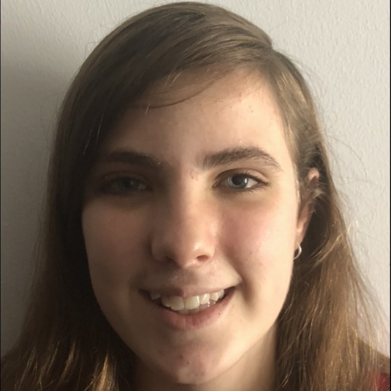 CARMEN  VIDIELLA MARTINEZ