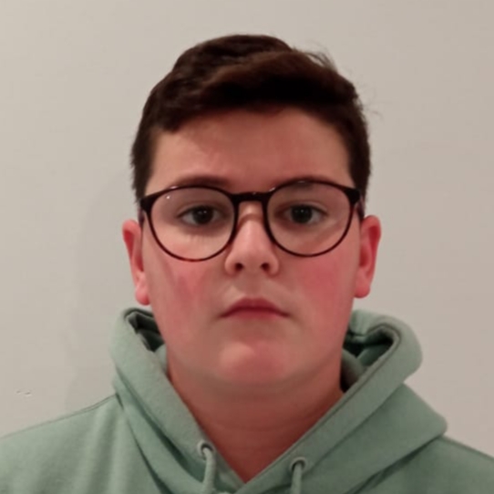 ALBERTO LLAMAS BORREGO