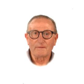 FRANCISCO JAVIER DOMINGUEZ PEREZ