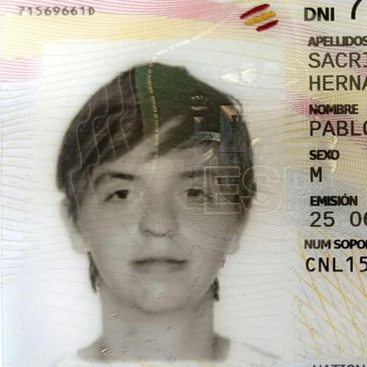 PABLO SACRISTAN HERNANDO