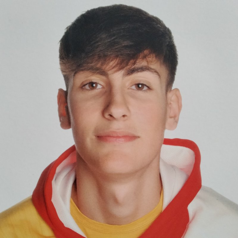 ALEJANDRO NORTES GONZALEZ