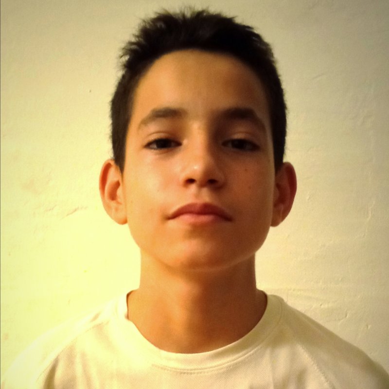 VICTOR  LEDESMA MENDEZ 