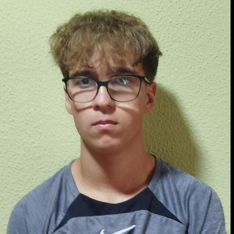 LUIS PALACIOS SUAREZ