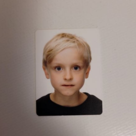 SYLVESTER VINCENT NIKOLAI HIRST HIRST