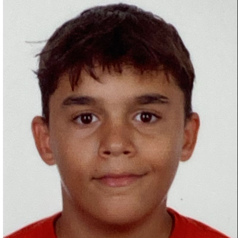 JAVIER  VERGEL CAÑAS