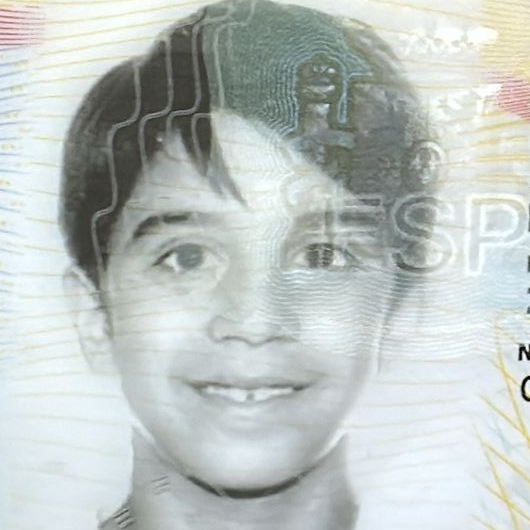 MANUEL ALVAREZ DOMINGUEZ