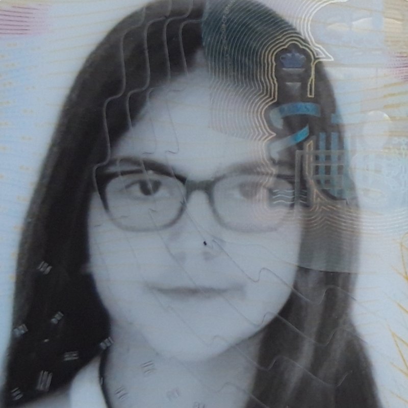 INGRID SANS TORRALLARDONA 