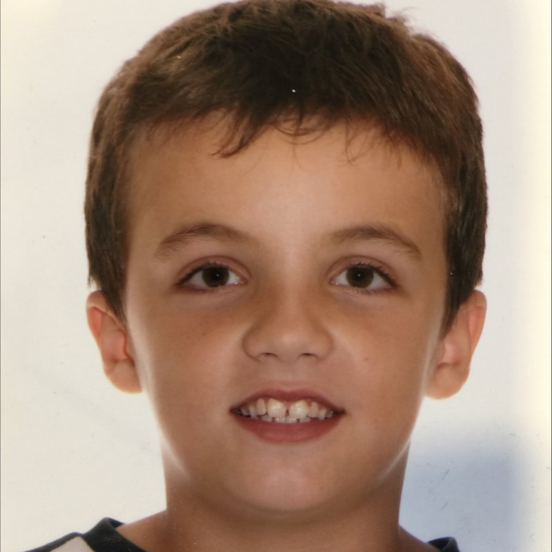 JAN PUIGDEMONT MALLORQUI