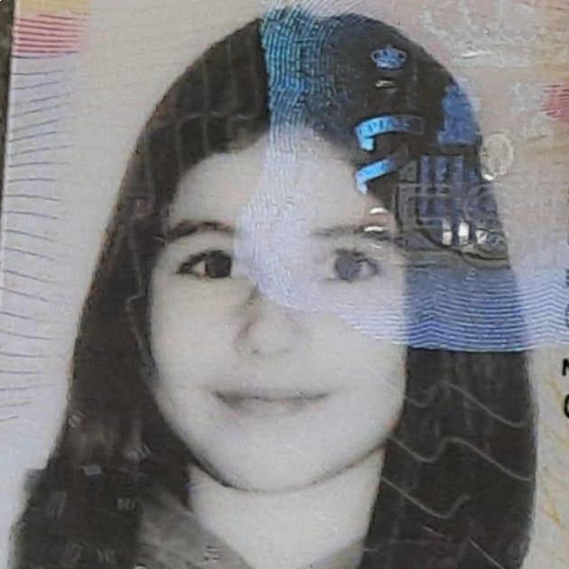 CARMEN FERNANDEZ SANTAMARIA