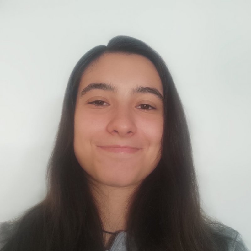 VEGA MARTIN MELLADO