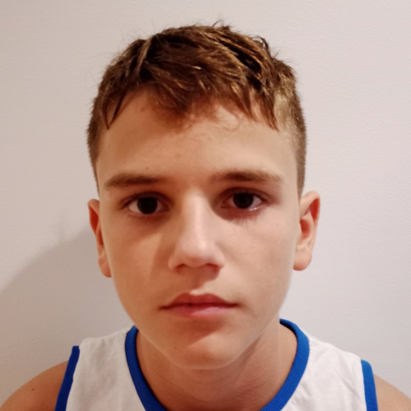 JOAN SILVESTRE PIERA