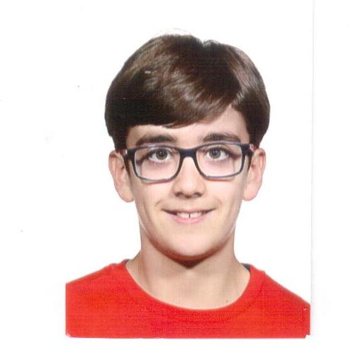 RAUL  REDONDO VAZQUEZ