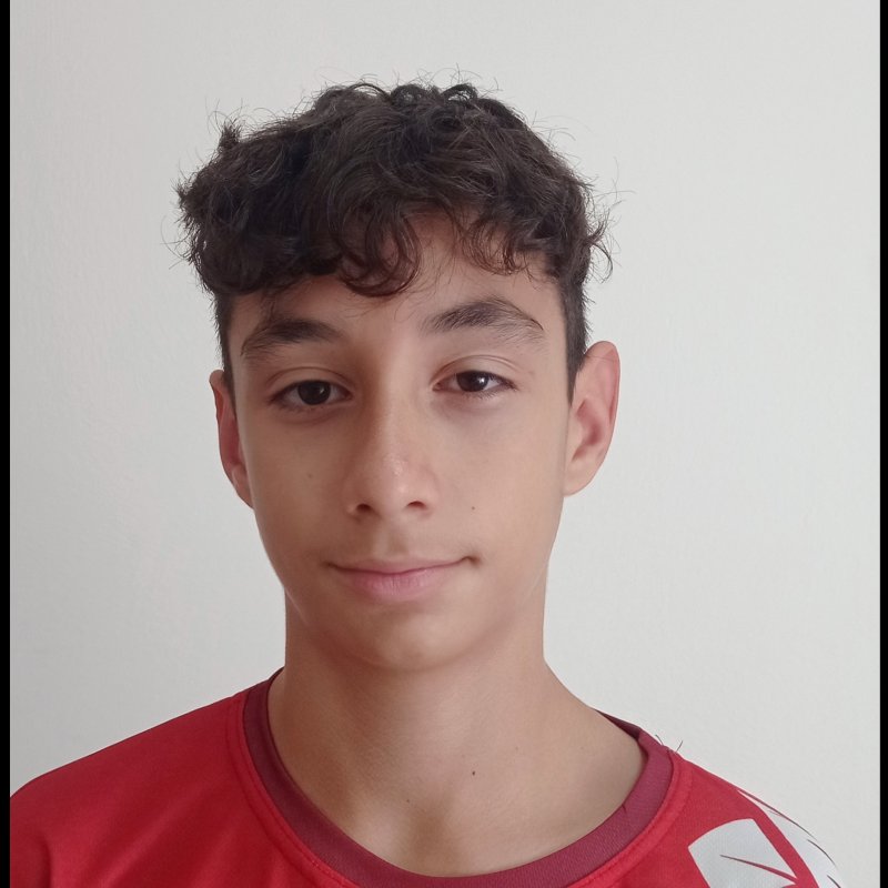 MARIO  CASTILLO MARTINEZ