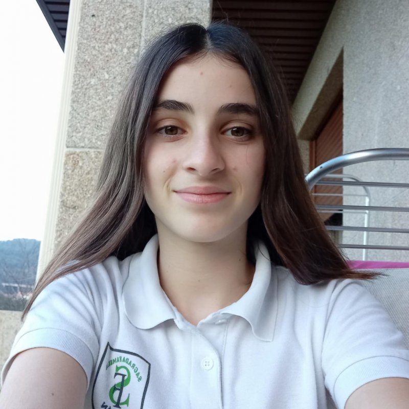 INES GOMEZ FERNANDEZ