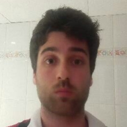 JAVIER FERNANDEZ-PACHECO ARMENTEROS