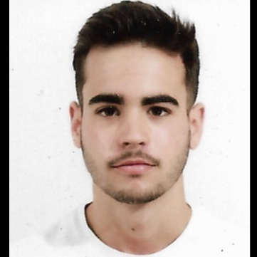CARLOS GRESES FERNANDEZ