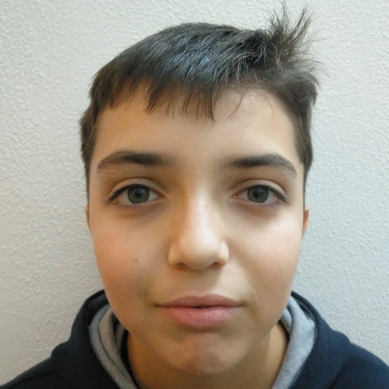 STEFAN ANDREI IONESCU IONESCU