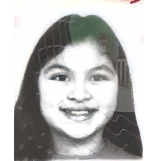 ALICIA CUESTAS SANTILLAN