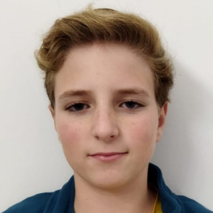 DOMINGO GUARINOS GONZALEZ