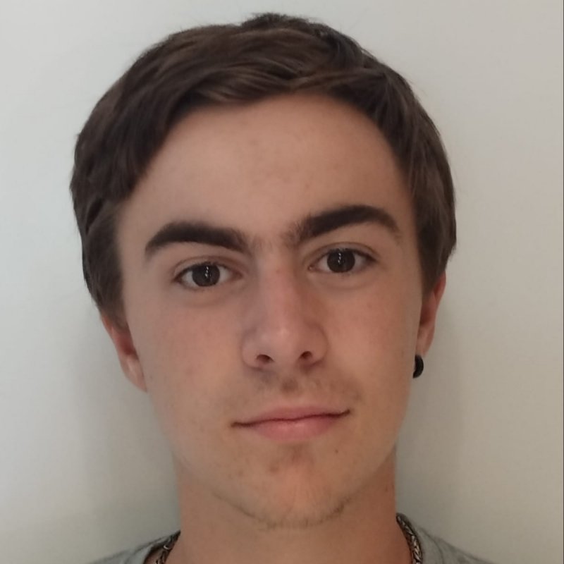 JULIO APESTIGUE VIESCA