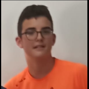 FRANCISCO JAVIER SANCHEZ MOLIN