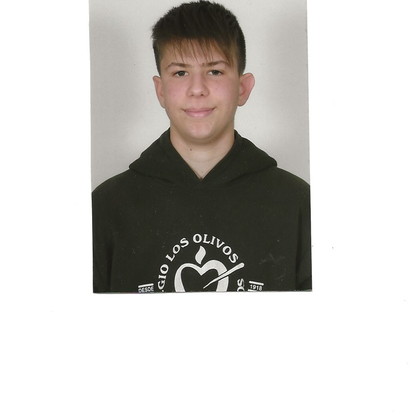 MIGUEL LEIVA VILLENA