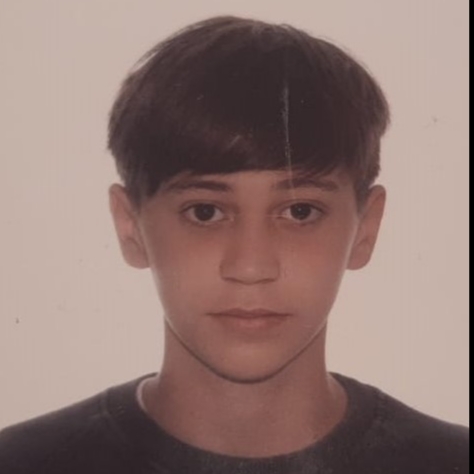 JAVIER BERGANTIÑOS GUILLEN