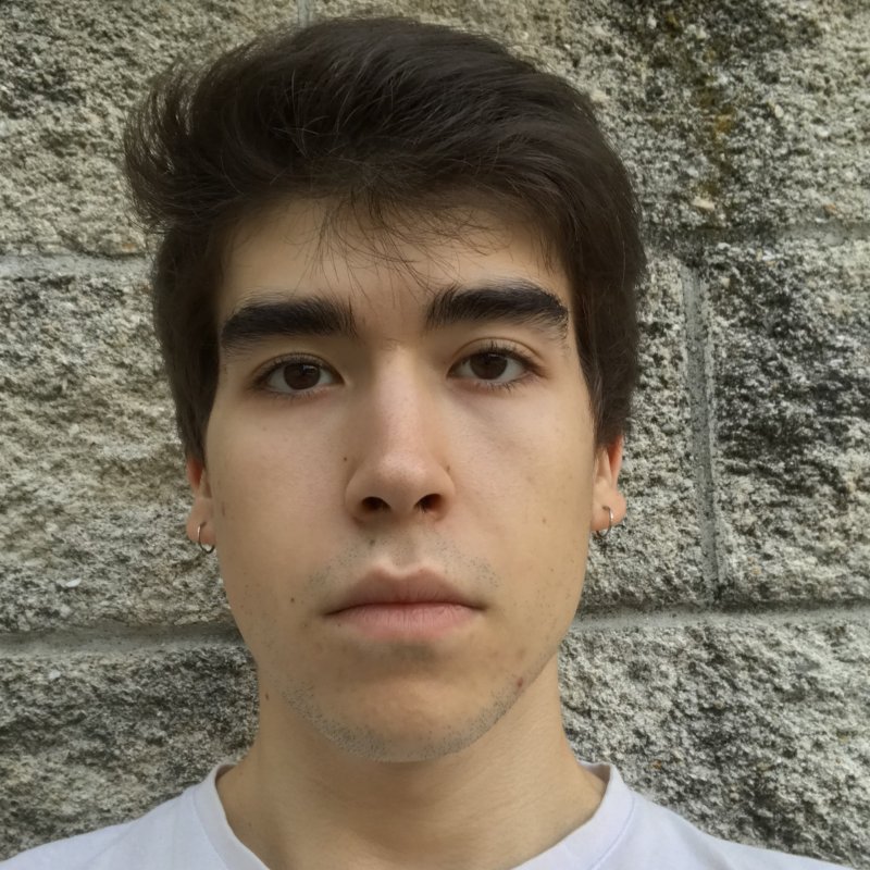 MARTIN FERNANDEZ SANTOS