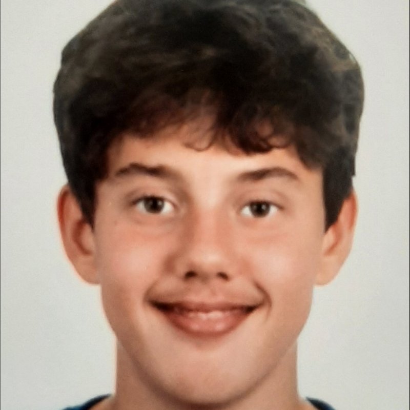 VICTOR  BERRUETA ALONSO