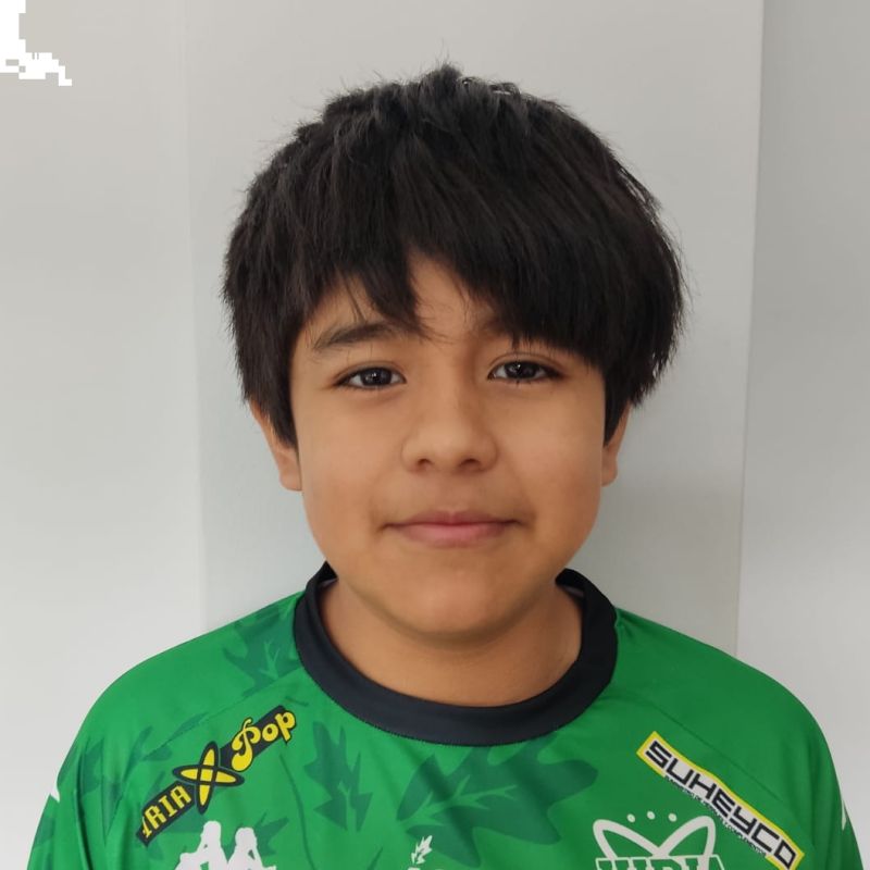 MATEO LEANDRO YAHUANA LA ROSA