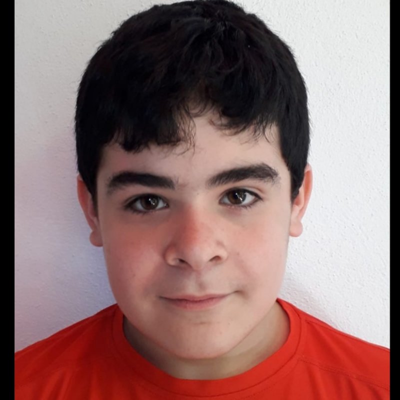 RAFAEL AVILES PULIDO