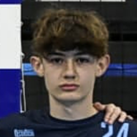 ANDRES ALVAREZ PEREZ DE MEZQUIA