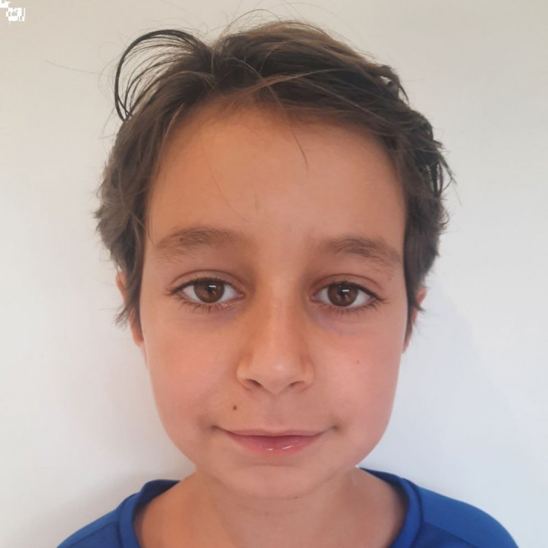 FERRIOL PINA FIGUERAS