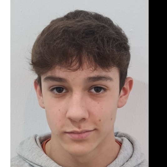 JOEL  FERNANDEZ OTERO