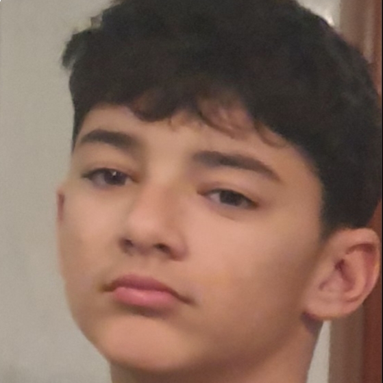 QUIM ALSINA GUERRERO