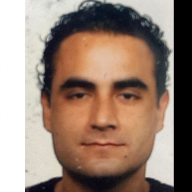 DAVID GONZALEZ PEDROS