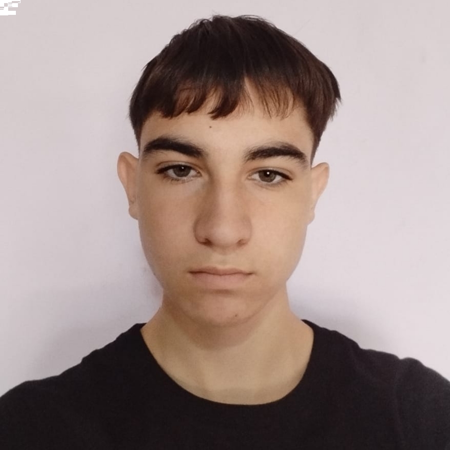 JULIAN BORRAZ ARANEGA