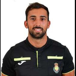 RAUL OYARZUN AYLAGAS