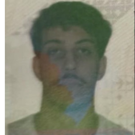 VINICIUS DE CASTRO BERTOLDO